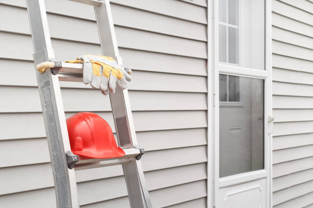 Best Residential Vinyl Siding Installation  in Louisville, NE