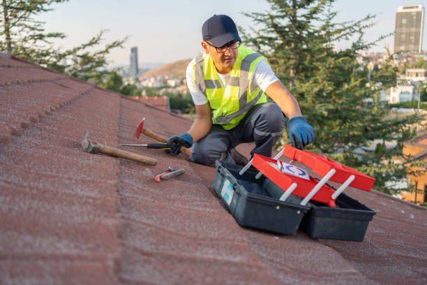  Louisville, NE Siding Installation Pros