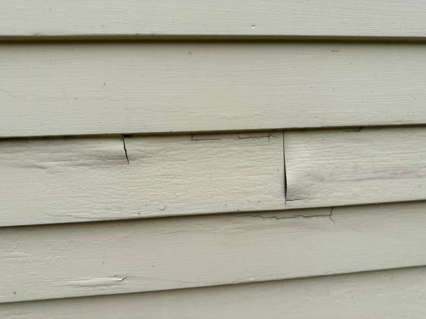 Best Steel Siding Installation  in Louisville, NE